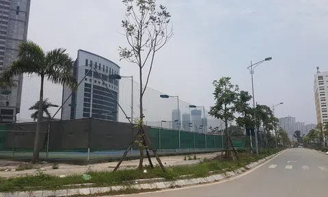 Thắng lớn ở Phú Quốc, CEO Group có nguy cơ “mắc cạn” tại Vân Đồn?