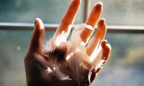 Cuộc sống này ngắn lắm: Có tiền xin đừng hà tiện, tức giận xin đừng chịu đựng, cần thì nắm nếu không nắm được hãy học cách buông…