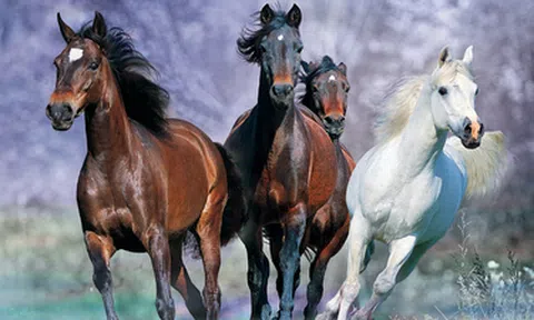 Thấy gì từ sự phân hoá trong nhóm Big4 ngân hàng?