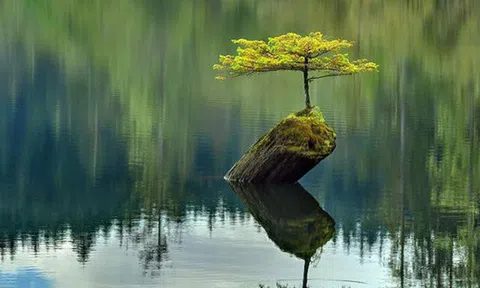 Bí quyết dưỡng sinh, trường thọ của các bậc danh nhân đều gói trọn trong chữ này, đáng tiếc con người hiện đại "ủ mưu" quá nhiều thường bỏ qua