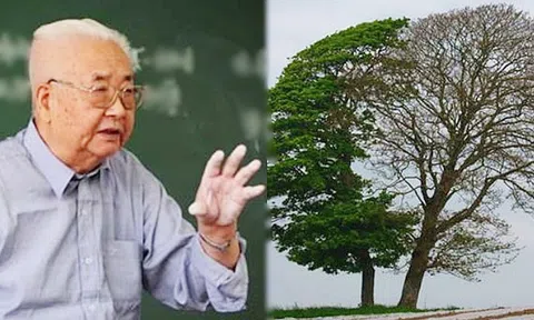 Giáo sư tài chính hỏi sinh viên: "Nếu là tiều phu, các cậu sẽ chặt cây nào?", ai cũng nhao nhao trả lời chỉ duy nhất 1 sinh viên đứng lên hỏi lại, đây chính là câu hỏi cần nhất để rèn bản lĩnh khôn ngoan