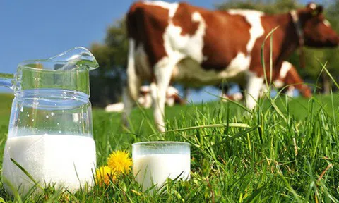 Thách thức gì cho cuộc chơi mới của các doanh nghiệp sữa Việt như TH True Milk ở thị trường 1,4 tỷ dân?