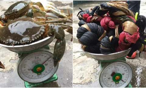 Mua 2,5kg cua 'khuyến mãi' 1,9 kg dây vải: Thanh niên khóc ròng