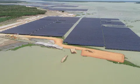 Ai đang dẫn đầu trong mảng năng lượng tái tạo ở Việt Nam? (P.1)