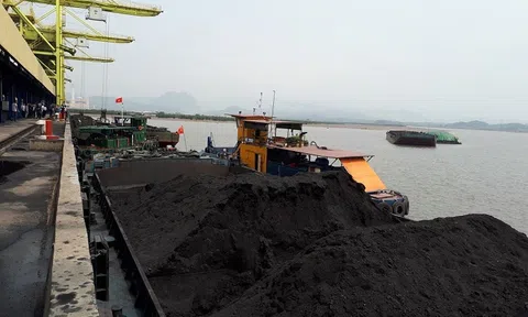 Tài nguyên chỉ Việt Nam có không dùng: Bán cho nước ngoài 2 triệu tấn