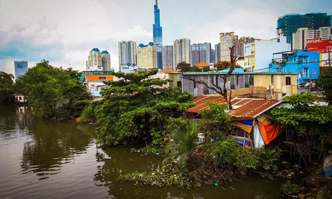 'Rừng bê tông' tại khu đô thị xa hoa trên đường Nguyễn Hữu Cảnh