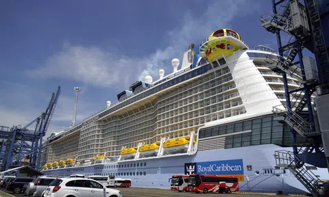 Hãng tàu Mỹ xin xây cảng tàu khách quốc tế ở Vũng Tàu