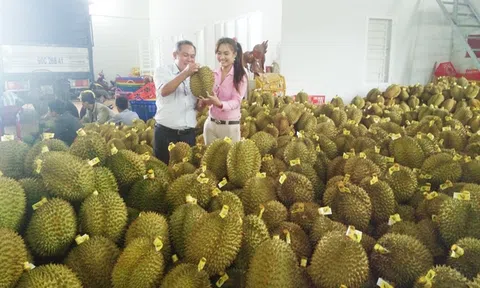 Động thái mới từ Trung Quốc, Việt Nam buộc phải đổi cách chơi