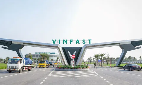 Vingroup rót 1.000 tỷ đồng lập công ty xe bus điện 'cây nhà lá vườn'