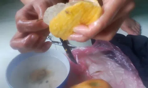 Sự thật thông tin xoài cắm tăm nghi có chứa chất bảo quản