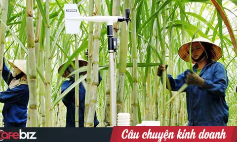 Trước thông tin “đóng cửa” nhà máy đường, “ông lớn” Thành Thành Công nói gì?