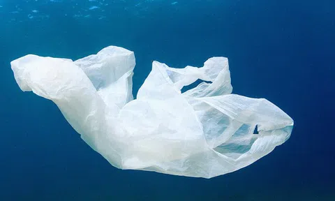 Cuộc cách mạng môi trường được thế giới mong chờ: Nhựa sẽ có thể được tái chế thành CO2 và nước