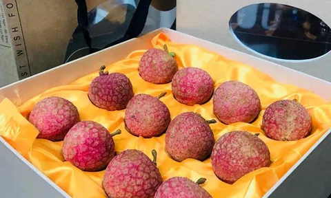 Vải thiều Lục Ngạn được bán với giá 200.000 đồng một hộp 12 quả