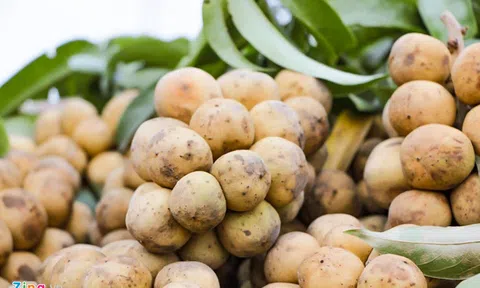 Boòng boong giá 90.000 đồng/kg, nhiều người nhấc lên đặt xuống