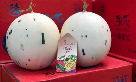 Chi bộn tiền mua dưa Nhật trắng muốt, thơm mùi sữa