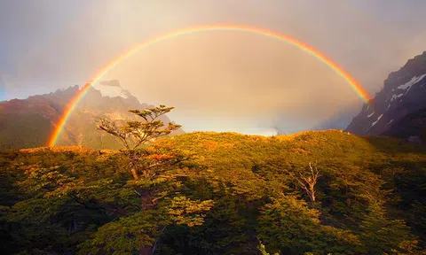 HDBank: Cầu vồng sau mưa?