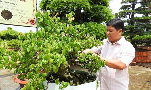 Bỏ lỡ đại học Bách khoa ra lại làm chủ vườn kiểng 100 tỷ