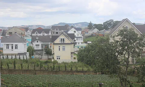 Giá đất vùng ven Đà Lạt tăng vọt
