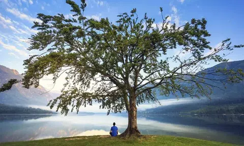 Thành - bại đời người, thật ra chỉ gói gọn trong một chữ "Độ": Công việc có lực độ, sự nghiệp có cao độ, tầm nhìn có độ rộng...