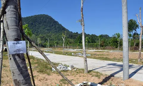 Yêu cầu cấm người Việt đứng tên hộ người Trung Quốc mua đất đai