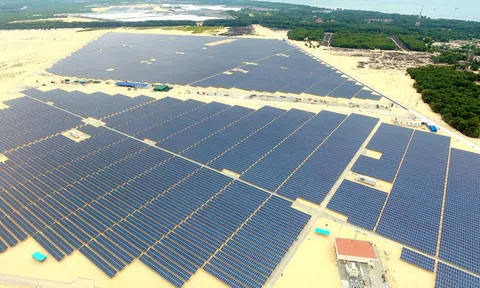 Đặt cược vào điện mặt trời, sau hơn hai năm Thành Thành Công làm được những gì?