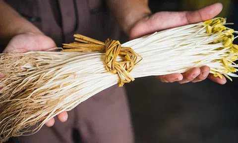 Bí mật thú vị của Ohori Onsen - loại giá đỗ dài hơn 2 gang tay: Trồng ở suối nước nóng, hơn 400.000 nghìn/kg