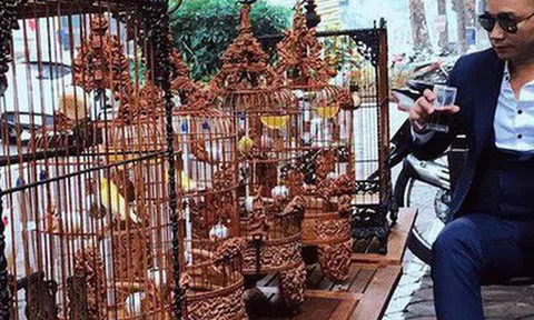 Gặp ông trùm thời trang với bộ sưu tập "chim khủng" 10 tỷ đồng: Chim nằm điều hòa, có camera an ninh và hai nhân viên chăm sóc đặc biệt
