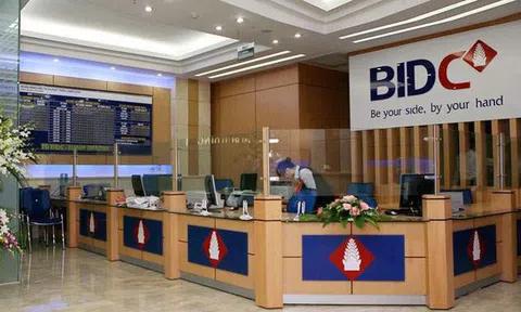 "Đem chuông đi đánh xứ người", các ngân hàng Việt đang làm ăn thế nào?