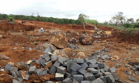 Việt Nam xuất khẩu đất hiếm cạnh tranh với Trung Quốc