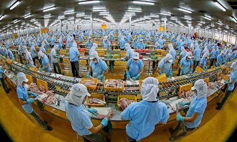 Hơn 70% doanh nghiệp dân doanh Việt Nam 'mù thông tin' về CPTPP và EVFTA