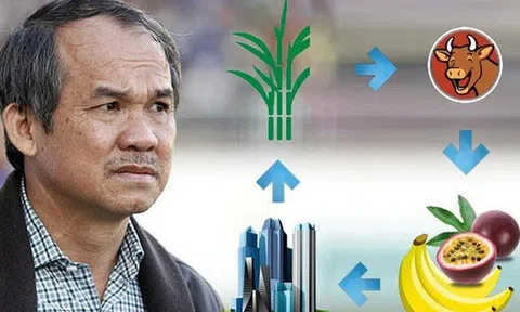 Bầu Đức tiết lộ tiêu chí hàng đầu để được tuyển dụng vào Hoàng Anh Gia Lai