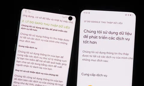 Nghi vấn mạng xã hội Gapo sao chép chính sách bảo mật của Google không sai một chữ?