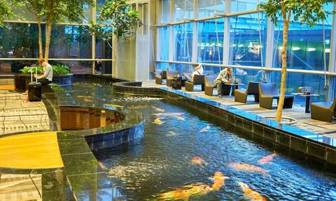 Sảnh chờ sân bay siêu đẹp có thể khiến bạn lỡ chuyến vì mải ngắm