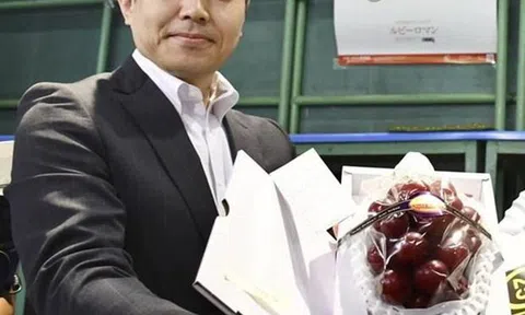 Một chùm nho đỏ của Nhật Bản có giá bán kỷ lục 11.000 USD