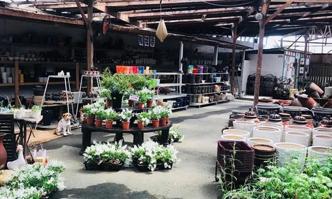 Mở tiệm gốm Bát Tràng chỉ 12m2 giữa ruộng 'đấu' với chục cửa hàng địa phương, đây là cách ông chủ Việt khiến người Nhật khó tính trở thành khách trung thành từ 22 năm trước