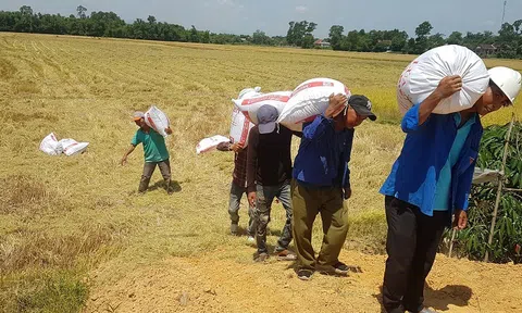 8,6 triệu hộ nông dân Việt lạc lối trên thị trường tỷ dân