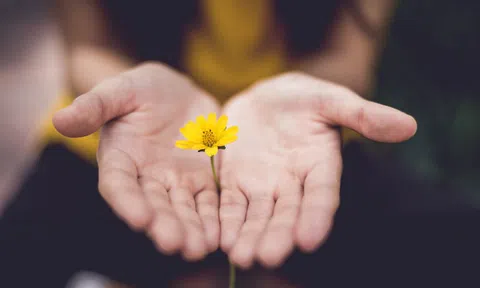 Nhà trị liệu tâm lý 46 tuổi: Đây là điều tôi cảm thấy nuối tiếc nhất vì đã không làm những năm 20, 30 tuổi và tôi biết các bạn cũng đang mắc phải sai lầm đó