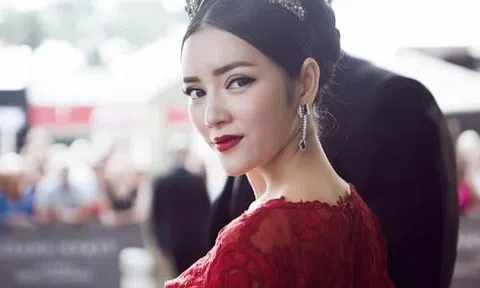 Các bố mẹ nuôi của công chúa Lý Nhã Kỳ có gia sản khủng cỡ nào?