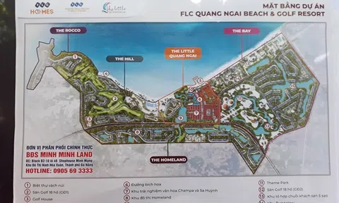 Ai dung túng cho FLC?