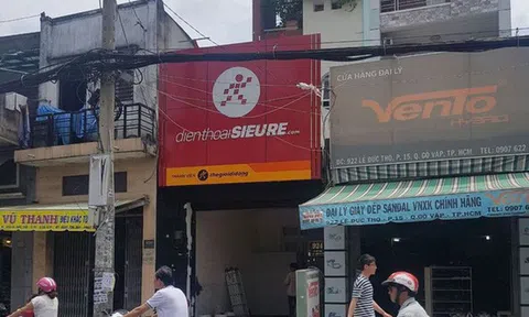 Doanh thu online đột ngột lao dốc, chuyện gì đang xảy ra với Thế Giới Di Động?