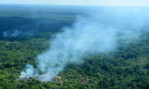 Cuộc chiến thương mại và cháy rừng Amazon: Tưởng chừng không liên quan nhưng sự thật đằng sau lại gây bất ngờ!