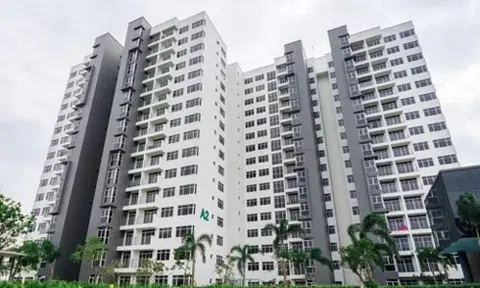 Căn hộ cho thuê ven Sài Gòn sinh lợi cao