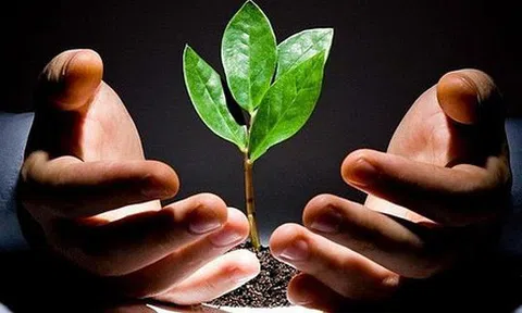 Những sai lầm của người lần đầu khởi nghiệp luôn mắc phải