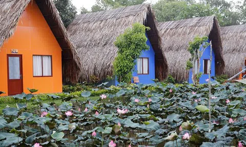 Vĩnh Long khai trương Làng du lịch sinh thái Hoàng Hảo