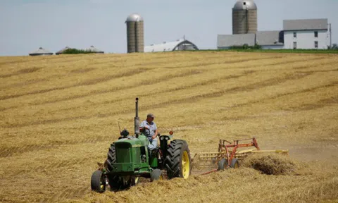 “Lá bài” nông sản trong thương chiến Mỹ - Trung mạnh cỡ nào?