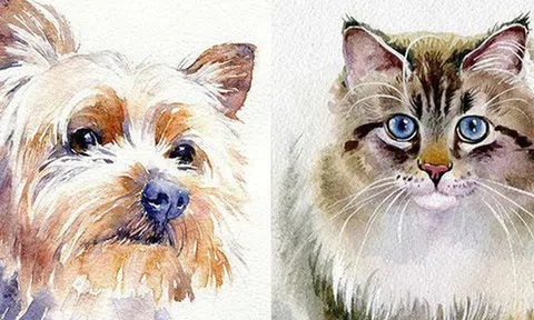 Trong tháng 8, 6 con giáp bất ngờ đổi vận phát tài, sự nghiệp tài lộc đều thăng hoa