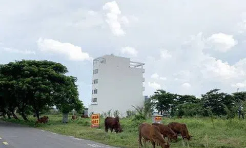 Chuyện lạ ở TP.HCM: Nơi giá đất 300 triệu đồng/m2, biệt thự xây dở không người ở