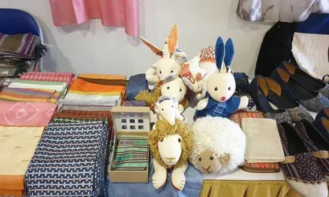 'Cần nhiều hơn những startup đem lại giá trị đích thực cho cuộc sống'