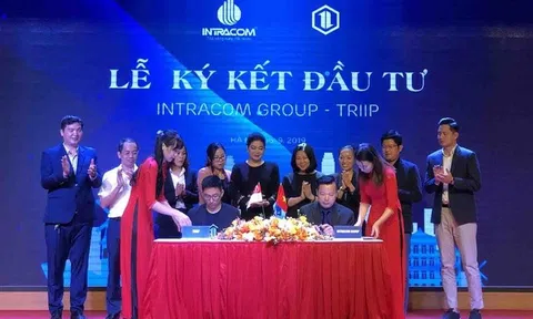 'Shark' Việt chính thức rót 500.000 USD vào Triip: Thương vụ 'thần tốc' nhất Shark Tank