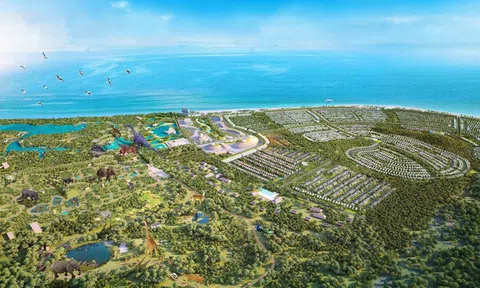 Lộ diện 3 nhân vật “bí ẩn” ở công ty “lạ” vừa thành lập 1 tháng có vốn 4.000 tỷ, đề xuất đầu tư dự án Safari ở Vũng Tàu “đấu” với Novaland và FLC